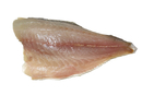 FILETTO DI ORATA 400/600 CROAZIA